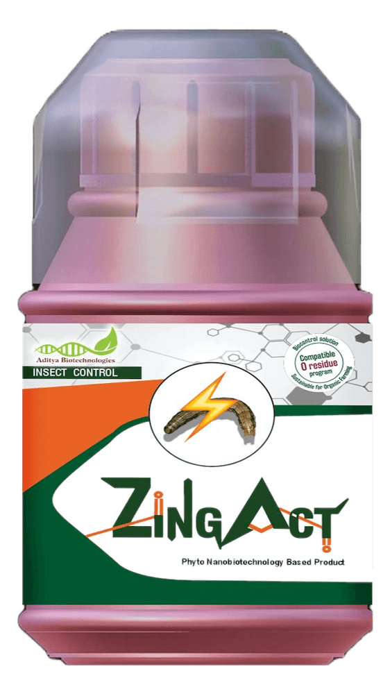 ZINGAer